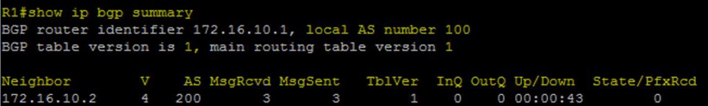 Show ip bgp summary